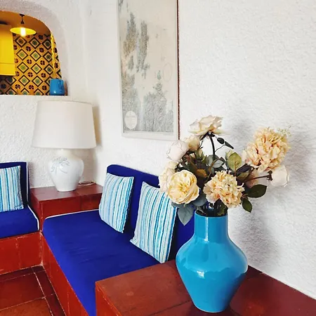 Charming Flat In With Lush Garden! Appartement