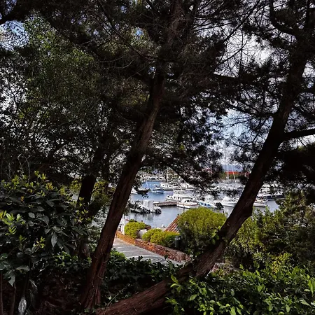 Charming Flat In With Lush Garden! * Porto Rotondo