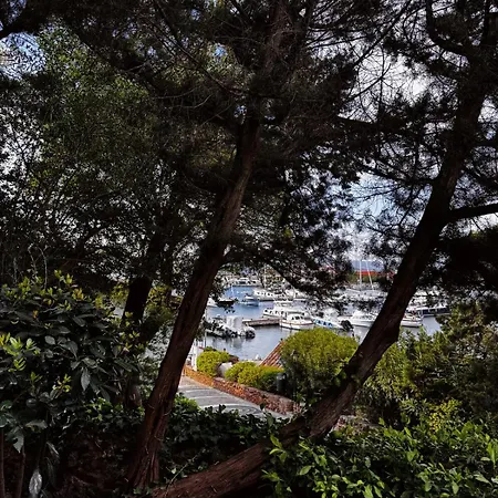 Charming Flat In With Lush Garden! * Porto Rotondo